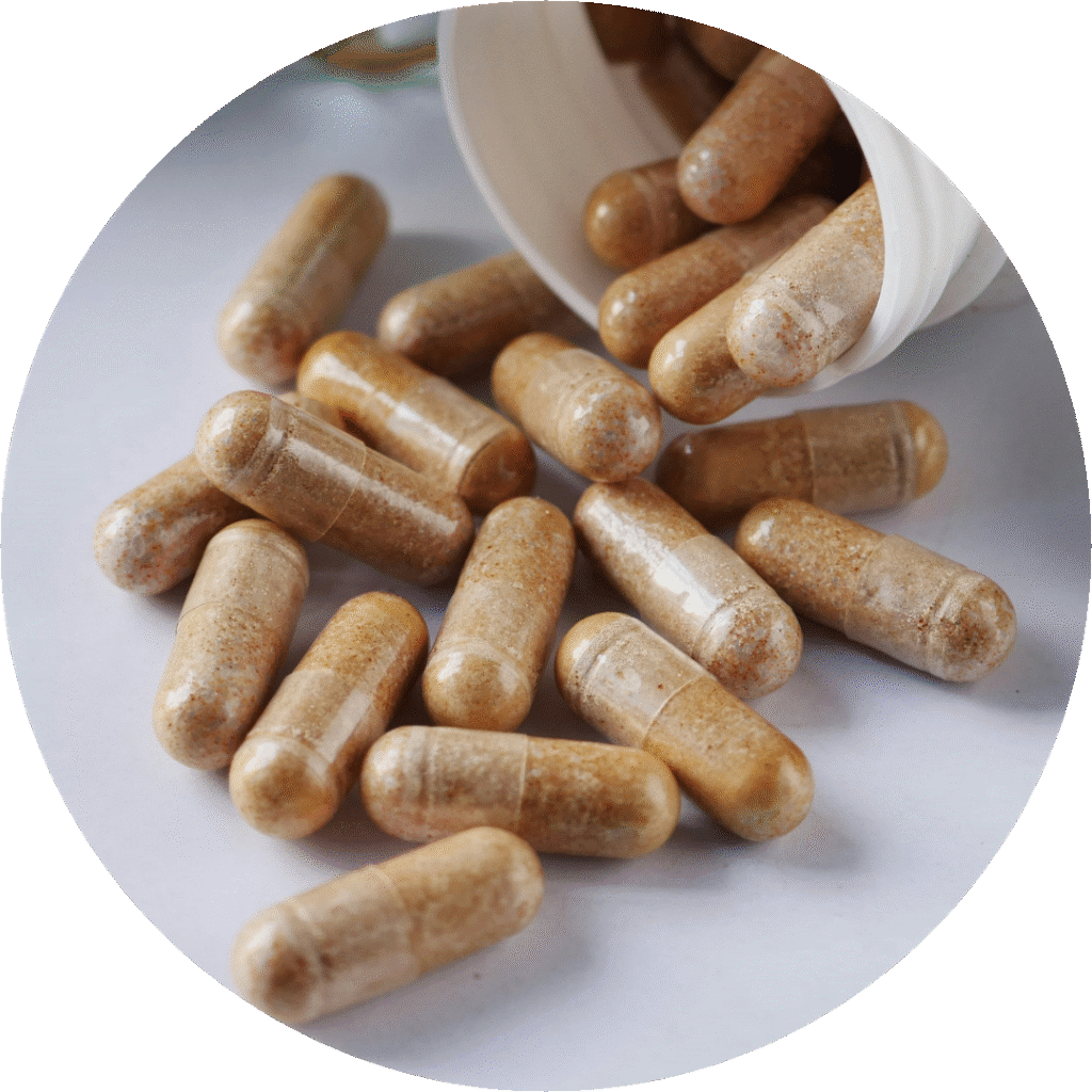 Simple placenta encapsulation